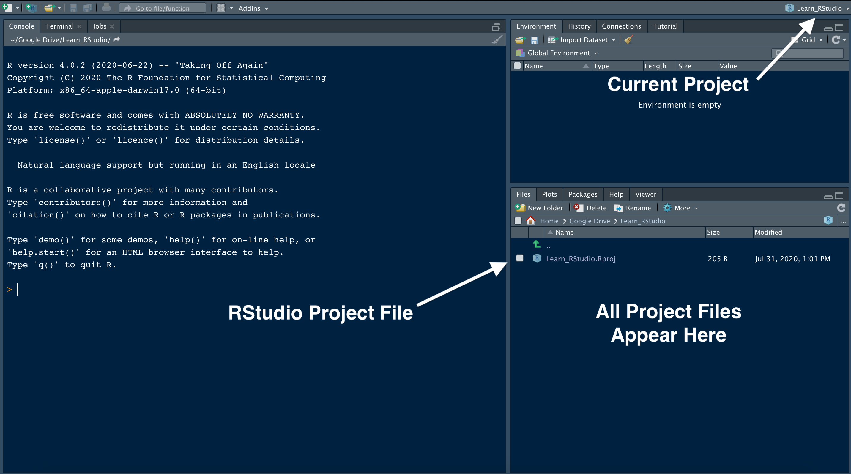 RStudio User Guide - Text Editor